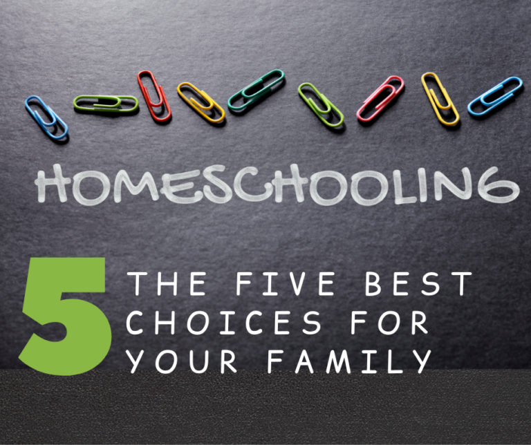 Homeschooling the five best choices for your family, including homeschool co-ops and homeschool online.