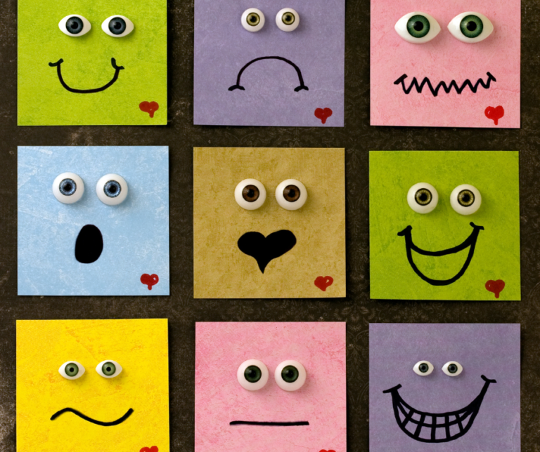 Social Emotional Learning: Questions You Should be Asking