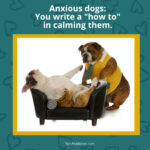 One dog one a medical chair, the other one looks like a psychiatrist with the words anxious dogs you write a "how to" calming them.